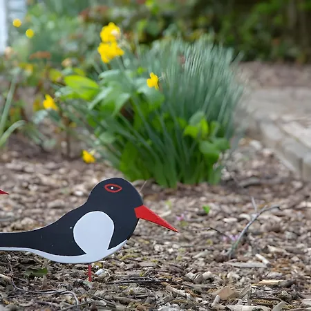 Apartamento Vogelhus Yvonne Vogel *