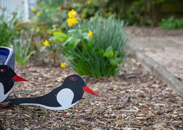 Vogelhus Yvonne Vogel * Pellworm