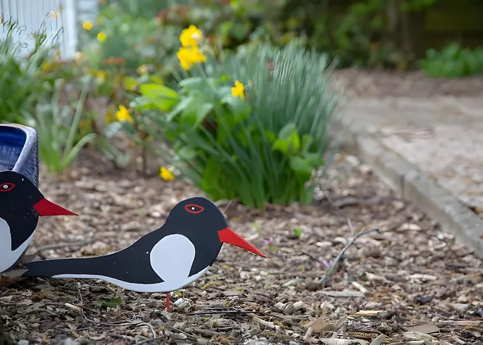 Apartamento Vogelhus Yvonne Vogel *